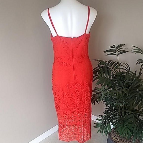 {Bisou Bisou} Lace Dress - Picture 7 of 7